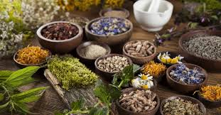 Herbal
